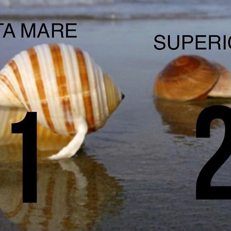 马瑞纳迪卡拉拉La Conchiglia A Marina公寓 外观 照片
